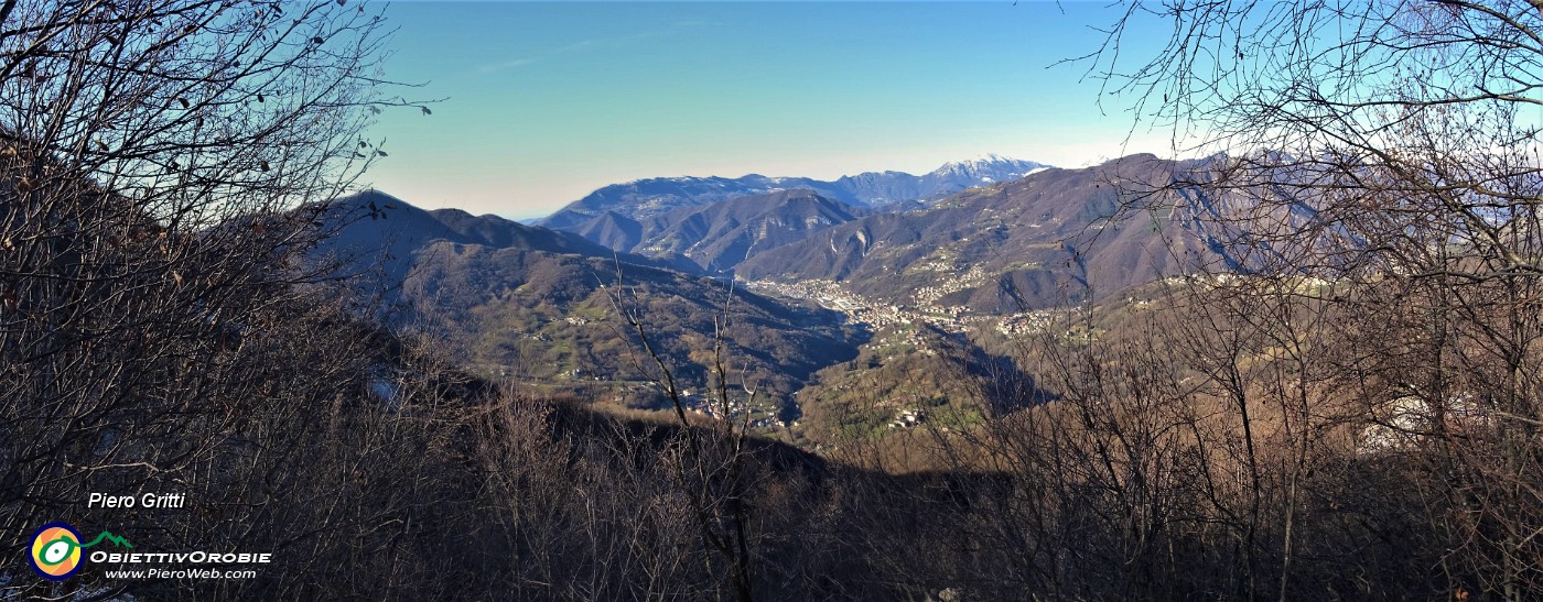 42 Bella finestra tra le piante del bosco panoramica  sulla conca di Zogno.jpg